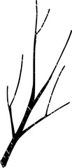 Black Textured Bare Branch Illustration