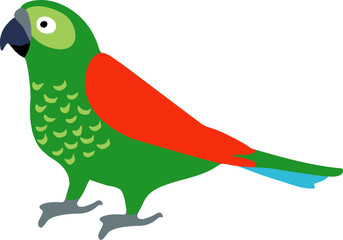 Green Amazon Parrot Bird Illustration © tabitazn