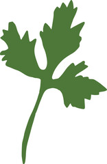 Green Coriander Leaf Illustration