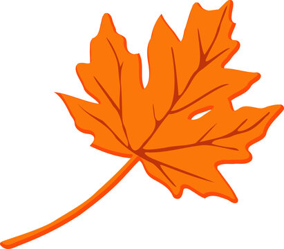 Orange Small Maple Leaf Illustration