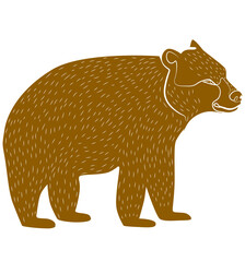 Bear illustration