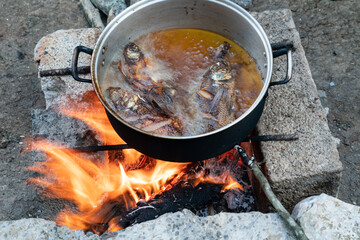 Cooking the fish after fishing