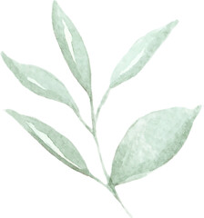 Purple watercolor flowers and leaves collection