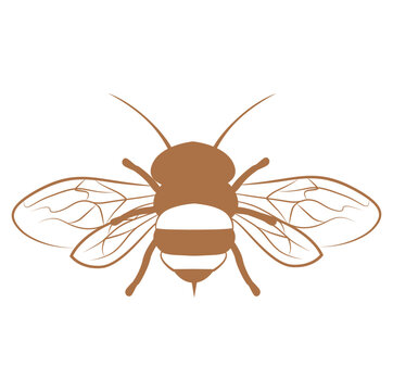 recommend clip art: Bee line illustration