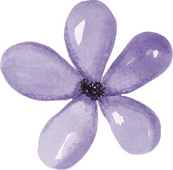 Purple watercolor flowers and leaves collection