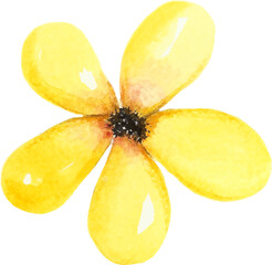 Yellow watercolor flower illustration hand drawn