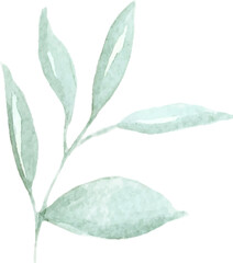 Green watercolor branch illustration hand drawn