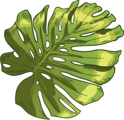 Hand drawn green tropical leaves © Tartila