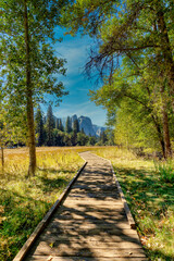 Yosemite Path