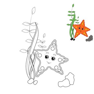 Web Starfish . Coloring book for children.