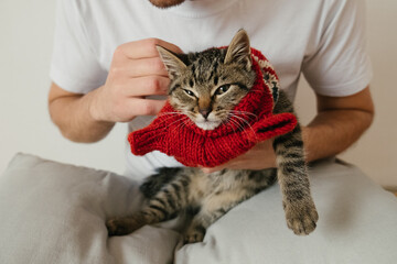 guy dresses a displeased kitten with a sweater in a bright apartment