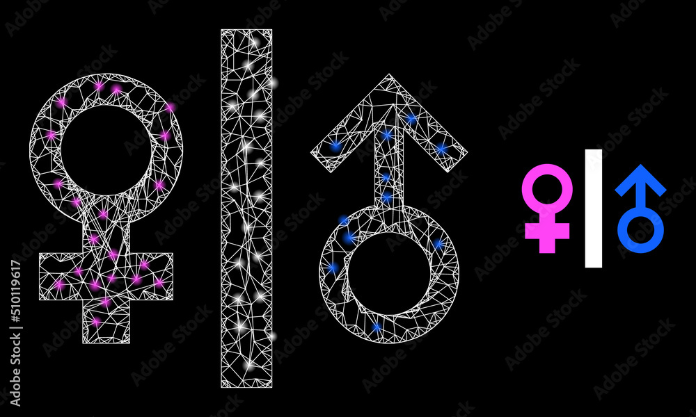 Poster net mesh toilet gender sign frame icon with lightspots. illuminated vector constellation based on to