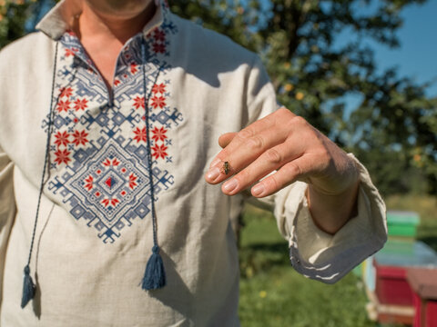 Crop beekeeper showing bee on hand