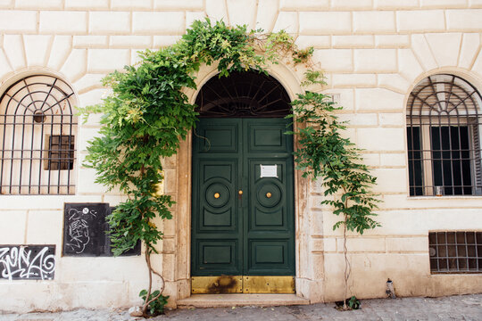 Arched green door with green plants in Italy