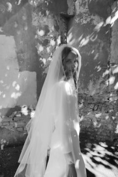 beautiful bride in a dress