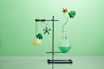 Test-tubes with a transparent solution and the plant