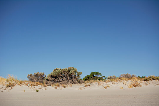 Beige dunes against a blue skyline