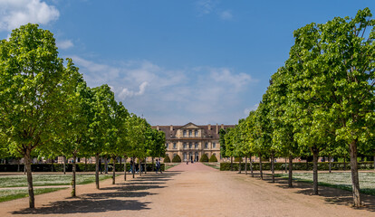 Fototapeta na wymiar Road aligned with trees leading to the arts and craft school of Cluny France