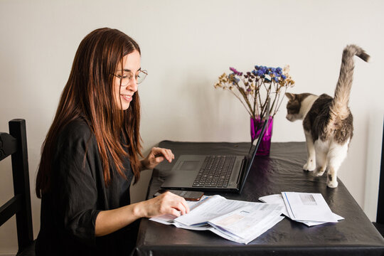 Cat invading work area at home