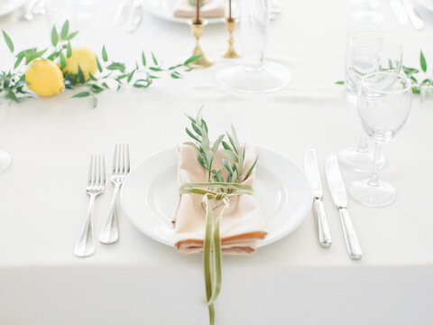 Plate With Beige Decorative Napkin 

