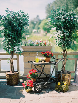 Bottle With Yellow Drink And Red Flowers Outdoors
