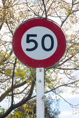 Round 50km speed sign with tree branches and sky in background. 