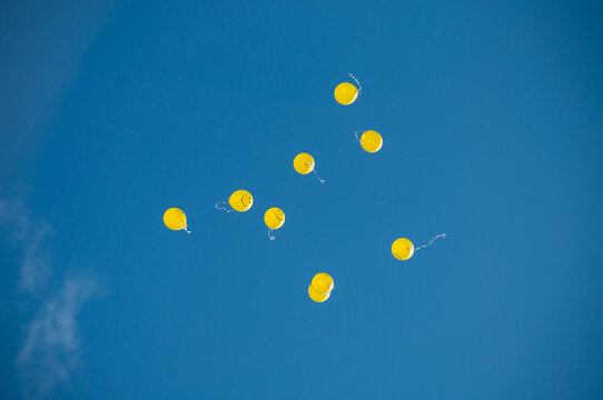 Fototapeta Yellow balloons