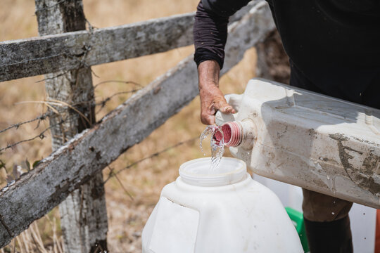 Unknown man pouring water into a fumigation pump
