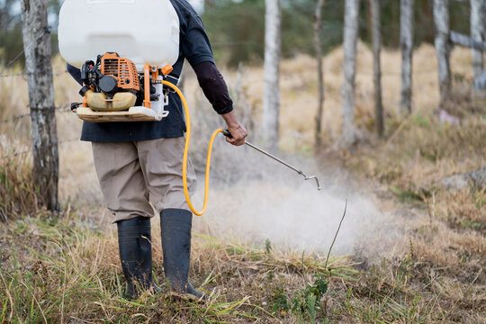 Unrecognizable man spraying