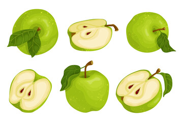 Set of green apples.
Colorful summer fruits.Cartoon vector graphic.