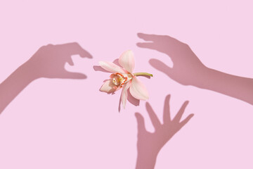 Shadow of three female hands around orchid flower