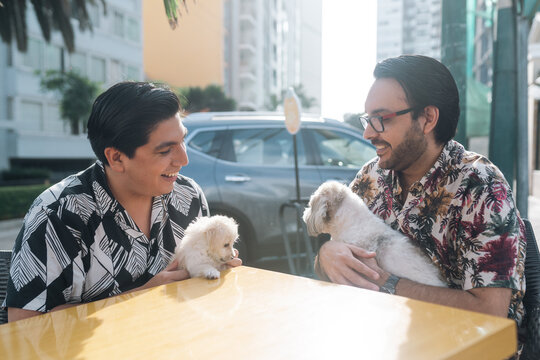 Couple chatting at cafe with dogs