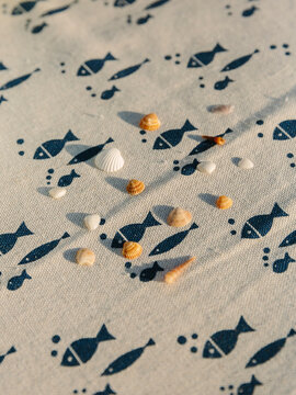 Shell Collection 