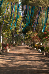 Fototapeta premium alley in the park in autumn