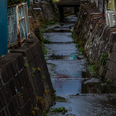 家と家の間を流れる水路