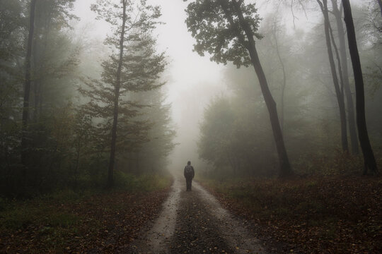 Mysterious man silhouette in foggy forest