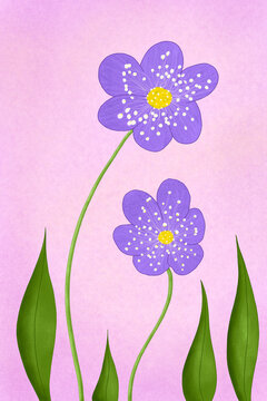 Hepatica nobilis illustration