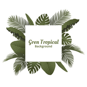 Green Summer Leaves Tropical Frame Background. Social Media Post Template Vector Illustration