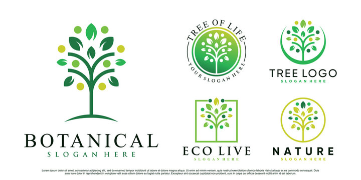 Set of nature tree logo design vector illustration with creative element Premium Vector