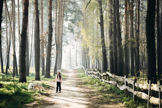 our beautiful forest
