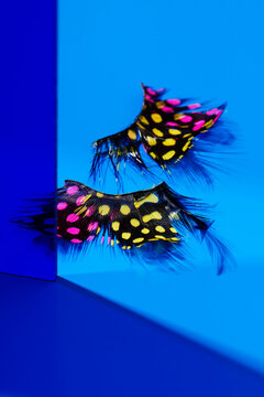 fake eyelashes patterned with pink and yellow spots