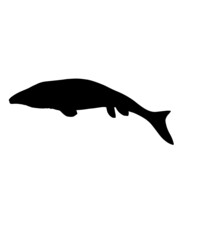 dinosaur svg bundle, dinosaur, t-rex svg, dinosaur png, trex svg, dinosaur shirt, Tyrannosaurus, Rex Dinosaur, Dinosaur Silhouette Svg png
