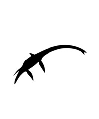 dinosaur svg bundle, dinosaur, t-rex svg, dinosaur png, trex svg, dinosaur shirt, Tyrannosaurus, Rex Dinosaur, Dinosaur Silhouette Svg png  © Sofiamastery