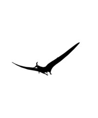 dinosaur svg bundle, dinosaur, t-rex svg, dinosaur png, trex svg, dinosaur shirt, Tyrannosaurus, Rex Dinosaur, Dinosaur Silhouette Svg png

