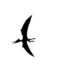 dinosaur svg bundle, dinosaur, t-rex svg, dinosaur png, trex svg, dinosaur shirt, Tyrannosaurus, Rex Dinosaur, Dinosaur Silhouette Svg png
