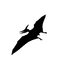 dinosaur svg bundle, dinosaur, t-rex svg, dinosaur png, trex svg, dinosaur shirt, Tyrannosaurus, Rex Dinosaur, Dinosaur Silhouette Svg png  © Sofiamastery