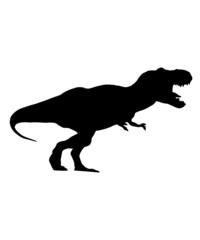 Obraz na płótnie Canvas dinosaur svg bundle, dinosaur, t-rex svg, dinosaur png, trex svg, dinosaur shirt, Tyrannosaurus, Rex Dinosaur, Dinosaur Silhouette Svg png 