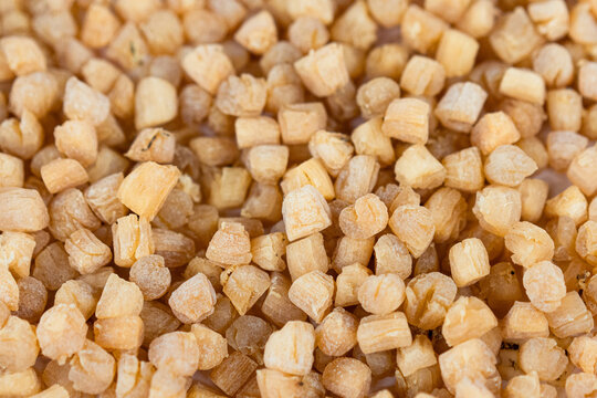 Dried scallops and scallops in the supermarket