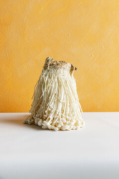 Enoki mushroom on yellow background