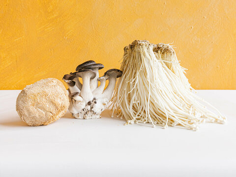 Mushrooms on yellow background